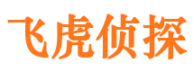 城阳侦探公司